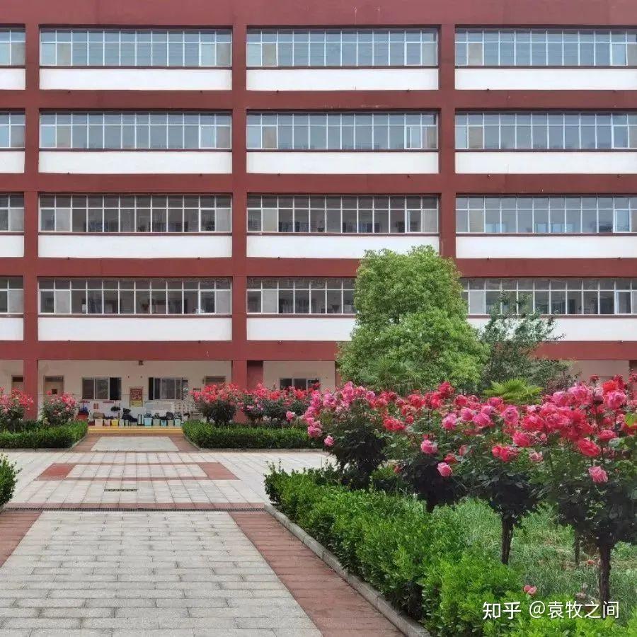 西华县状元桥中学什么样?