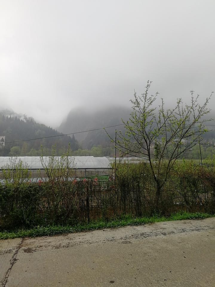 濛濛细雨中的山峰 - 知乎