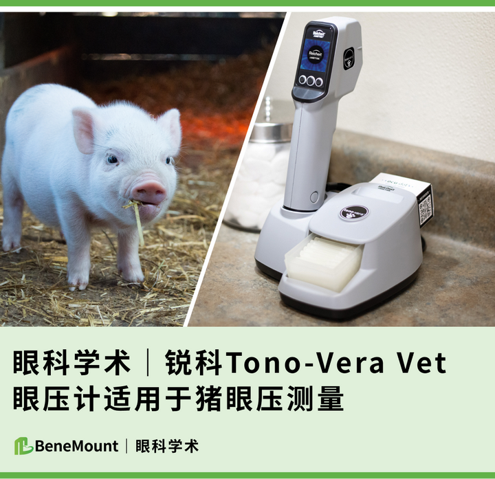 眼科学术｜锐科Tono-Vera Vet眼压计适用于猪眼压测量，帮助建立猪眼疾病模型 - 知乎