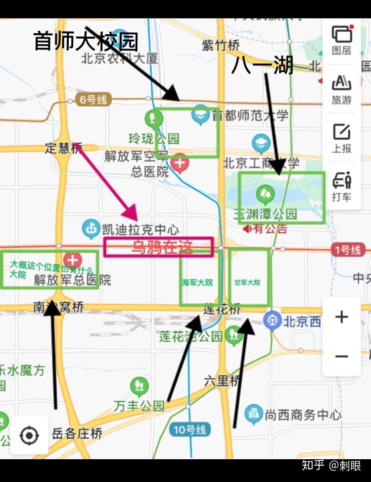 为什么公主坟一带乌鸦特别多