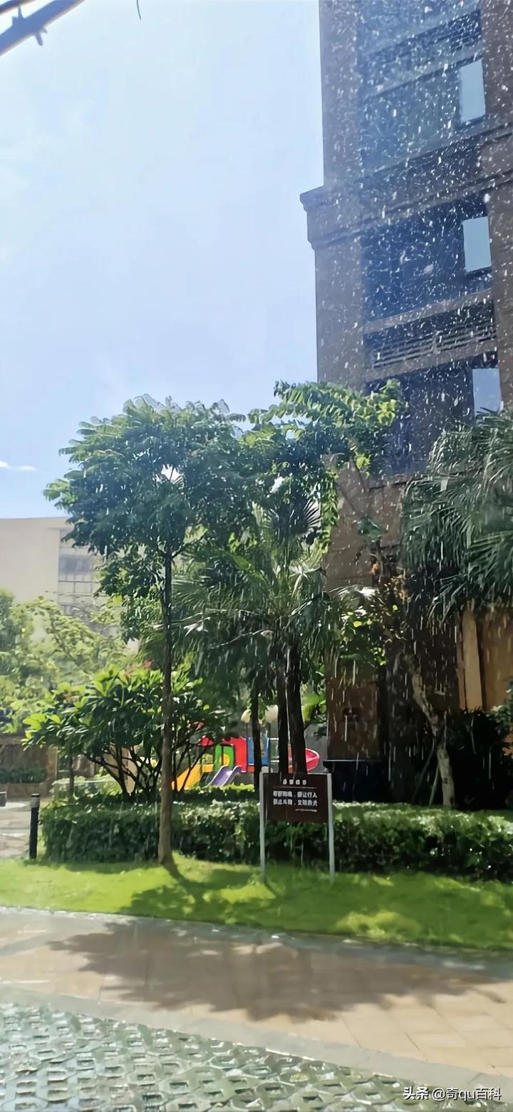 遇见太阳雨是好兆头吗