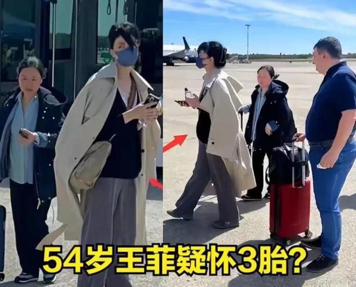 54岁王菲怀孕?谢霆锋或将喜当爹,网友担忧:可别再生个小李嫣