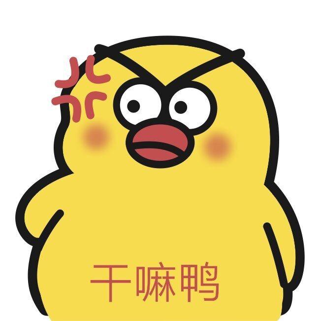 2018年度瞎逼叨 - 知乎