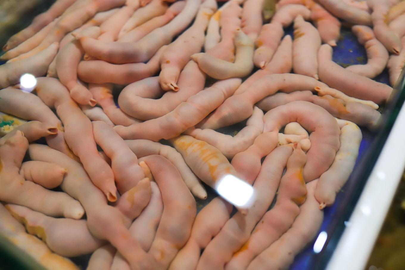 其中哪里让你感觉很值?