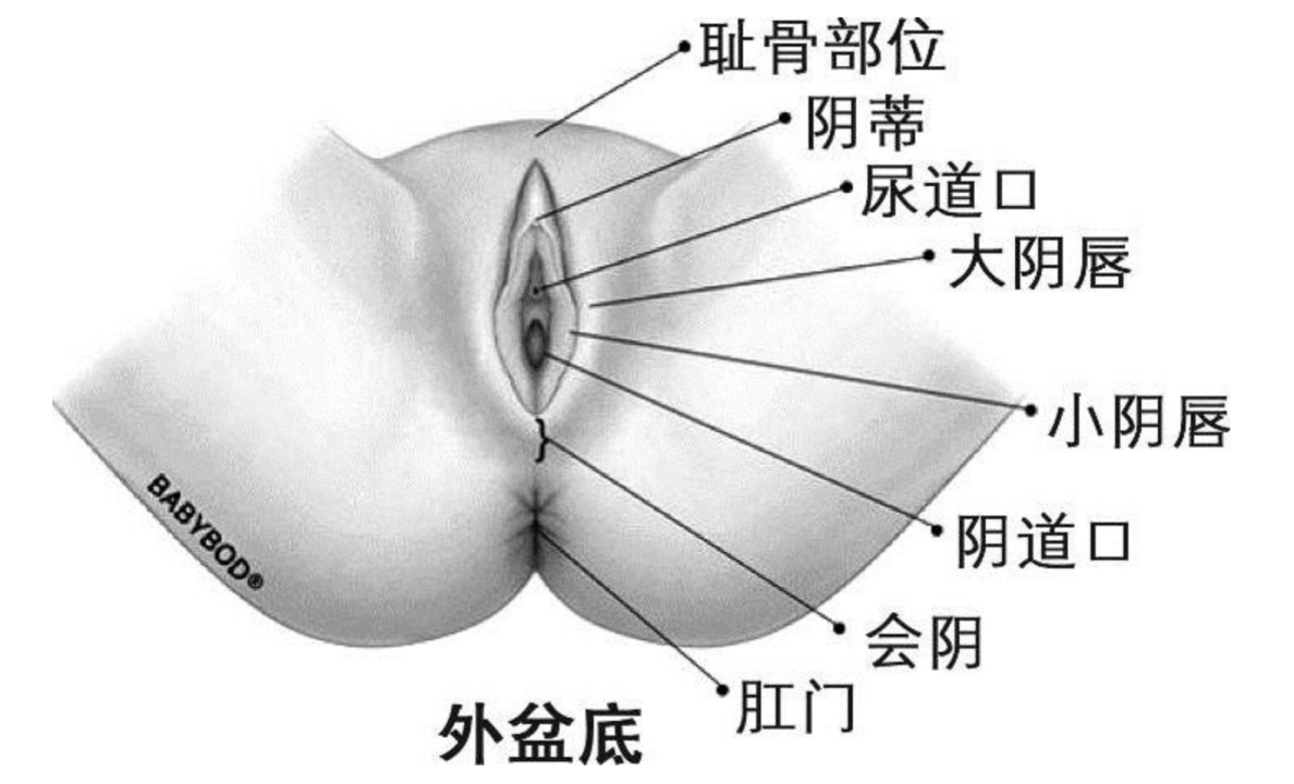 产后修复要怎么做