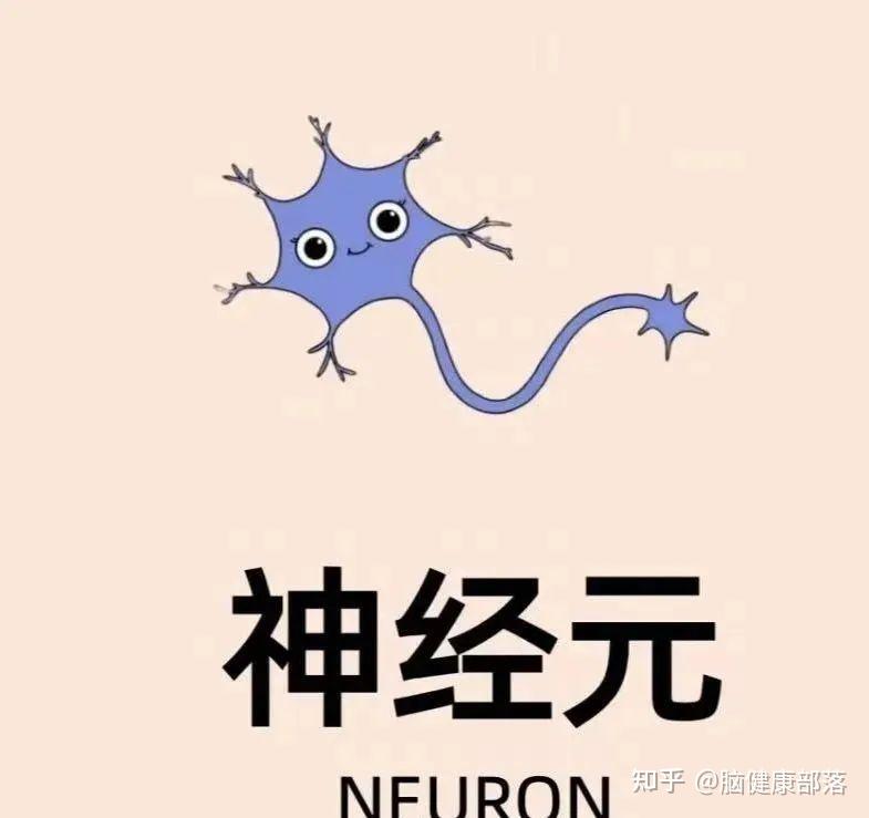 告别焦虑,从呼吸开始:四种呼吸法让你的大脑重获新生 - 知乎