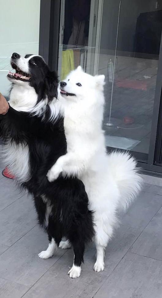 知乎