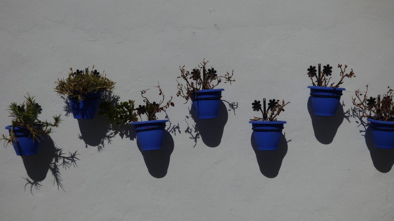 顶立墙固多少钱一桶