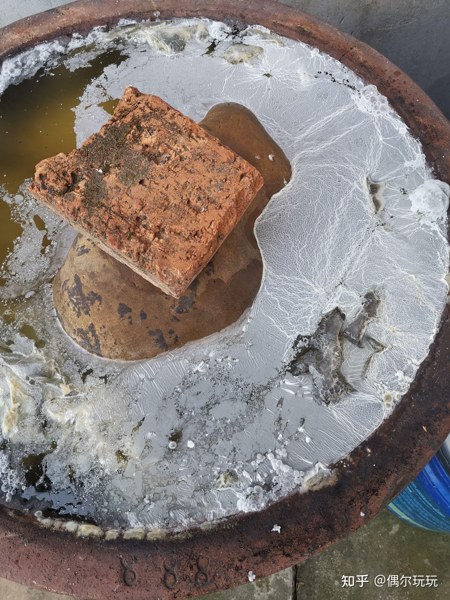 腌东北酸菜上面起了一层白膜还能吃吗? - 知乎