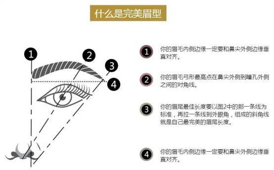 眉形分析(五) - 知乎