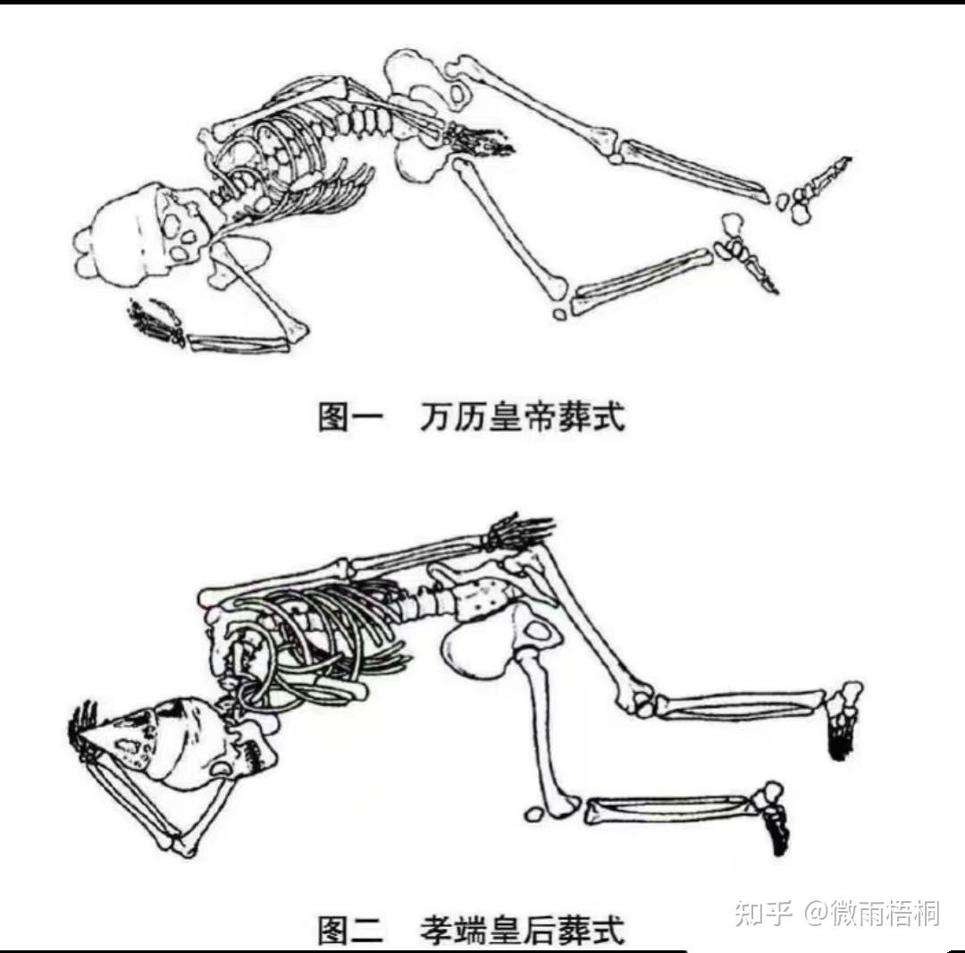 《藏海传》里藏着哪些历史原型？ - 知乎