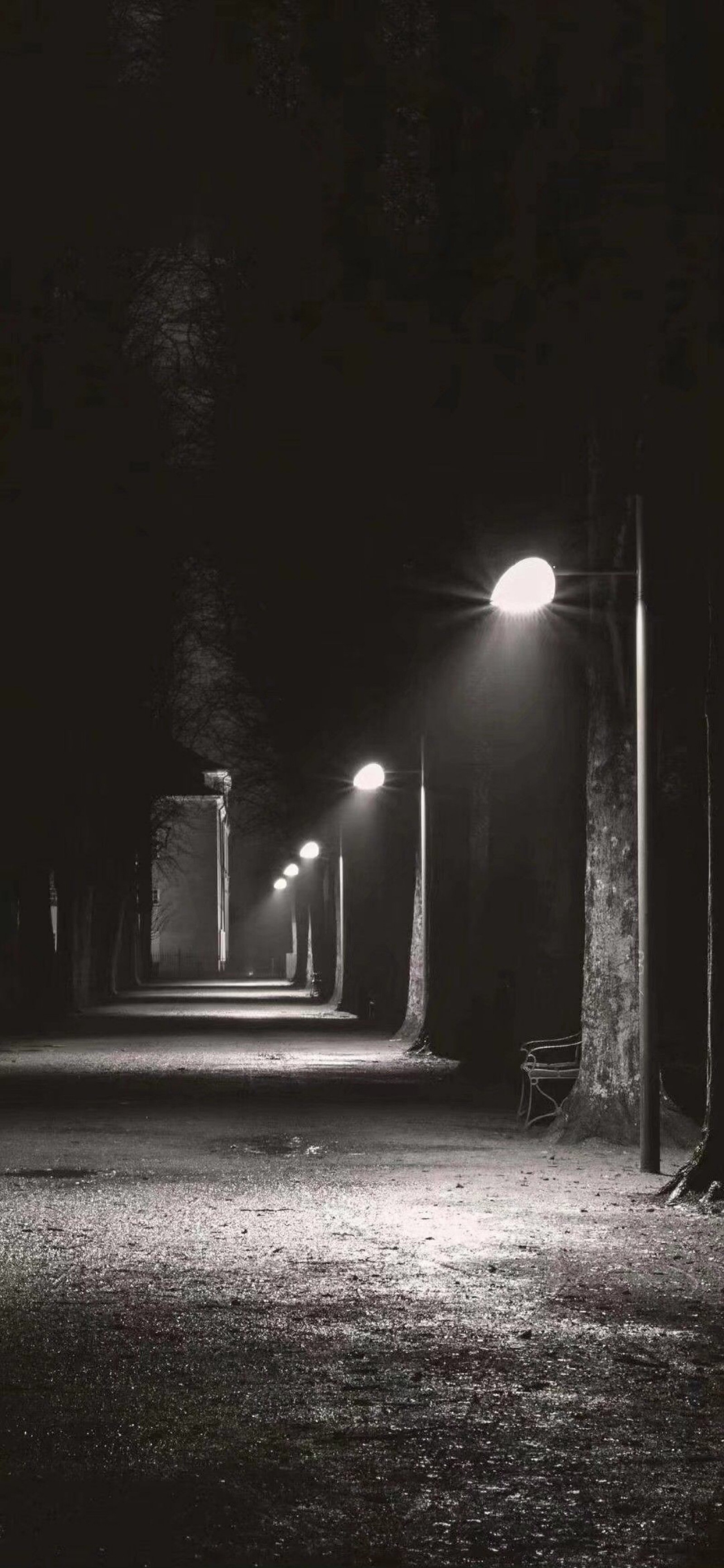 有没有什么感觉孤独却又高逼格的头像或壁纸