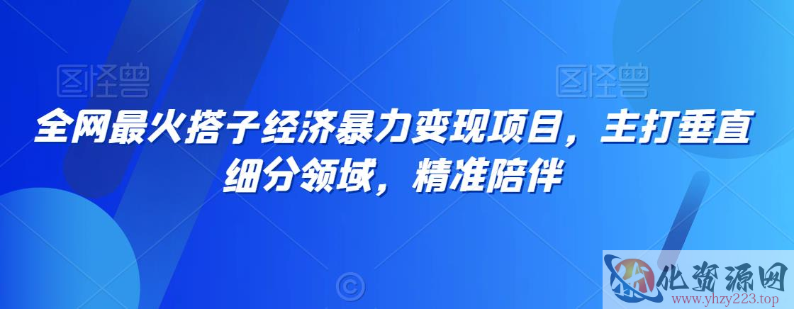 全网最火搭子经济暴力变现项目，主打垂直细分领域，精准陪伴【揭秘】