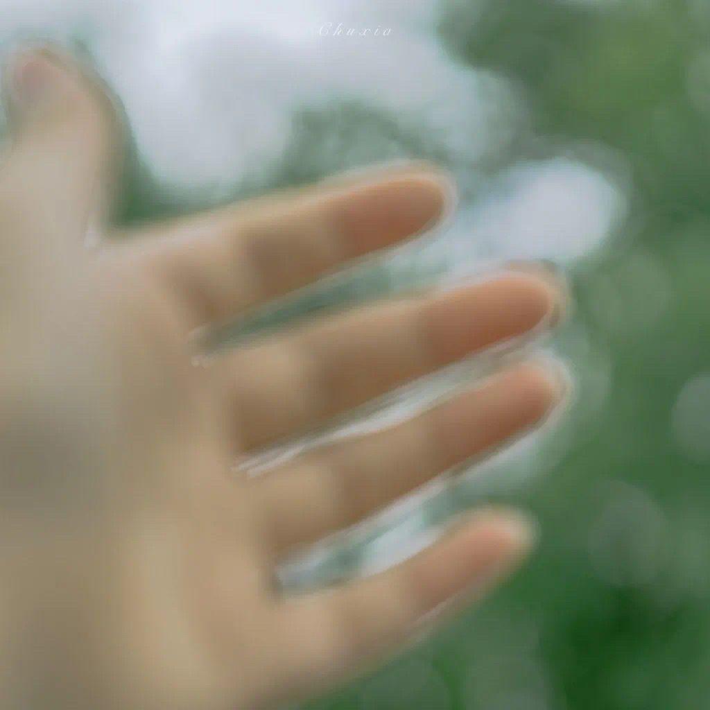 有什么美到极致的绿色壁纸?(绿色壁纸好看卡通动漫)