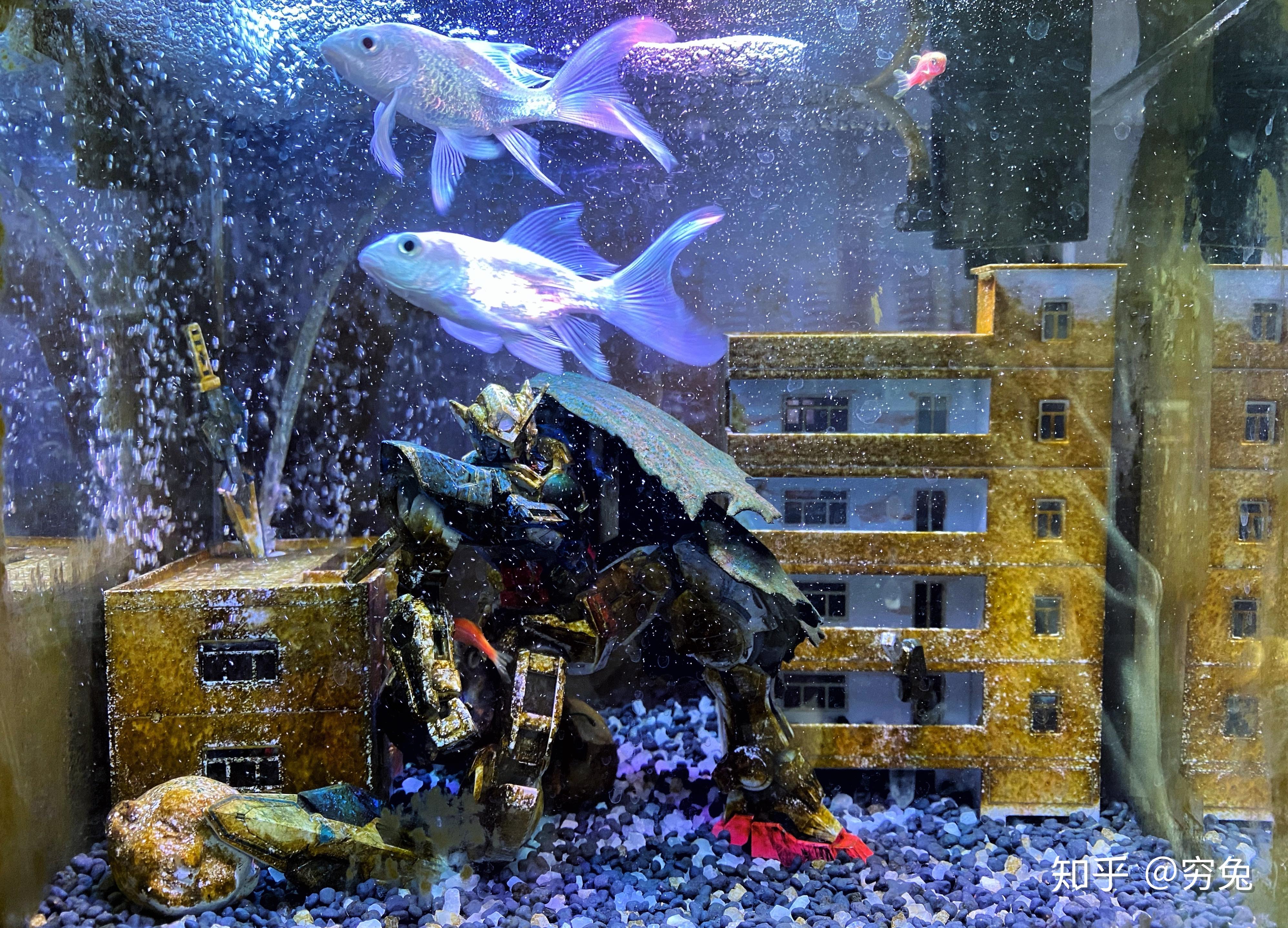 鱼缸里放高达模型对鱼有影响吗? - 知乎