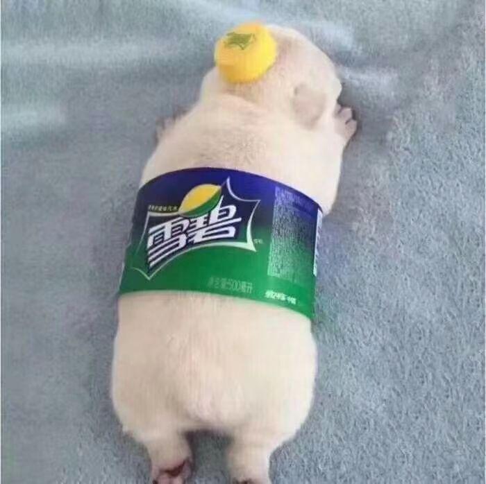 有哪些好看的情头?