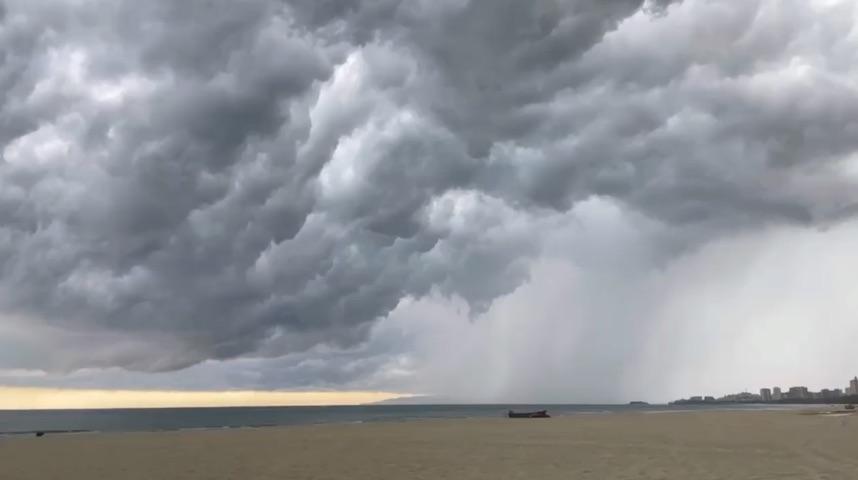 暴雨三部曲图片