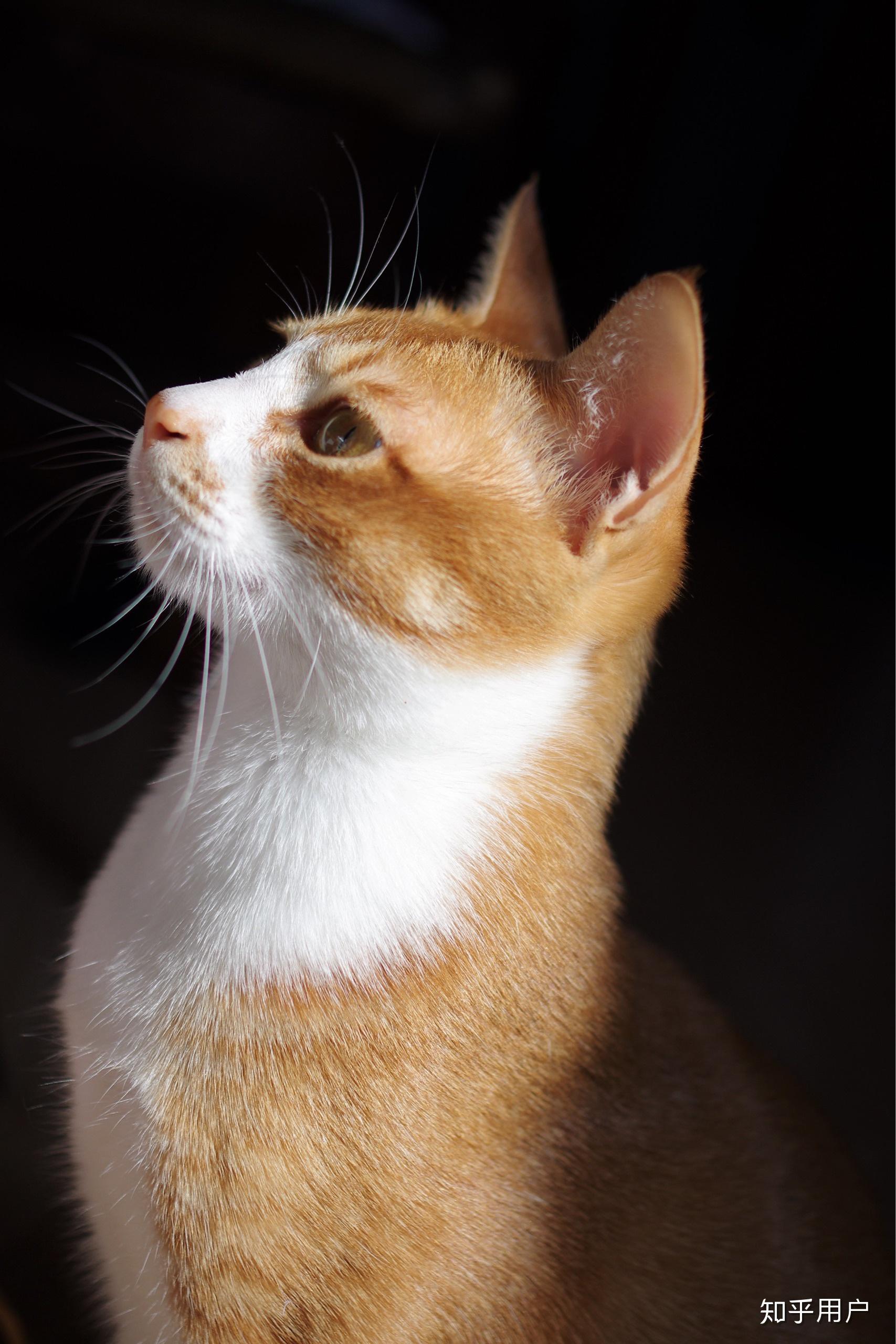 1707_2560竖版 竖屏