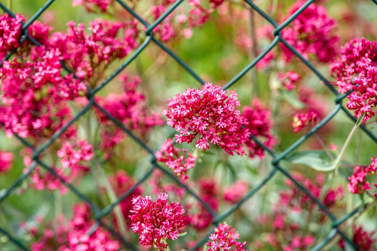 4. 柱头线设计风格
