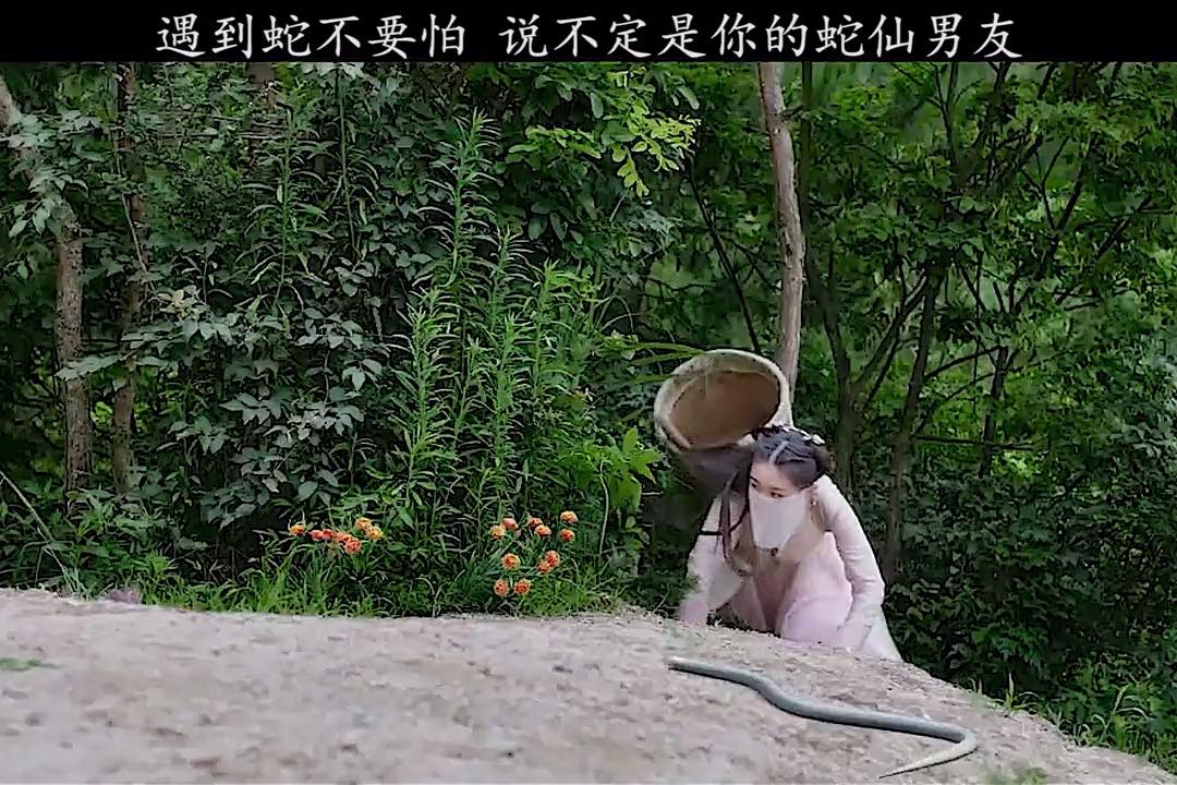 长白灵蛇传宣传片图片