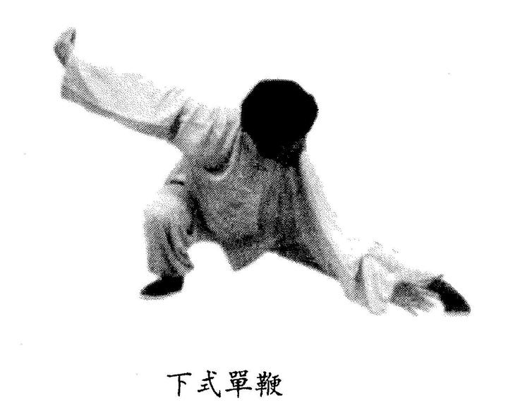 玉环桩相关——养气柔体平阴阳,练气修脉运丹功(节选) - 知乎