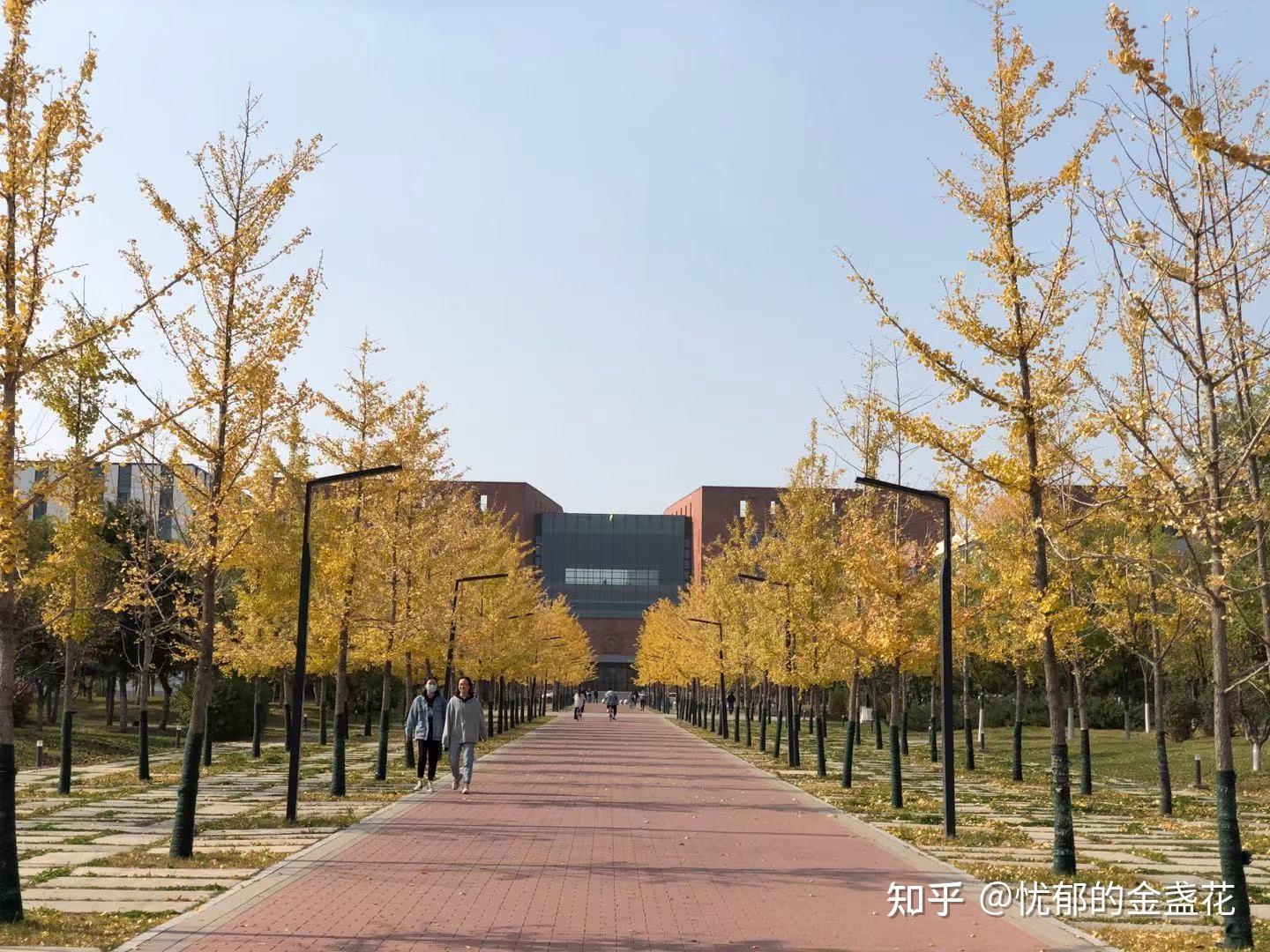 在东北大学浑南校区读书是怎样的体验? - 知乎