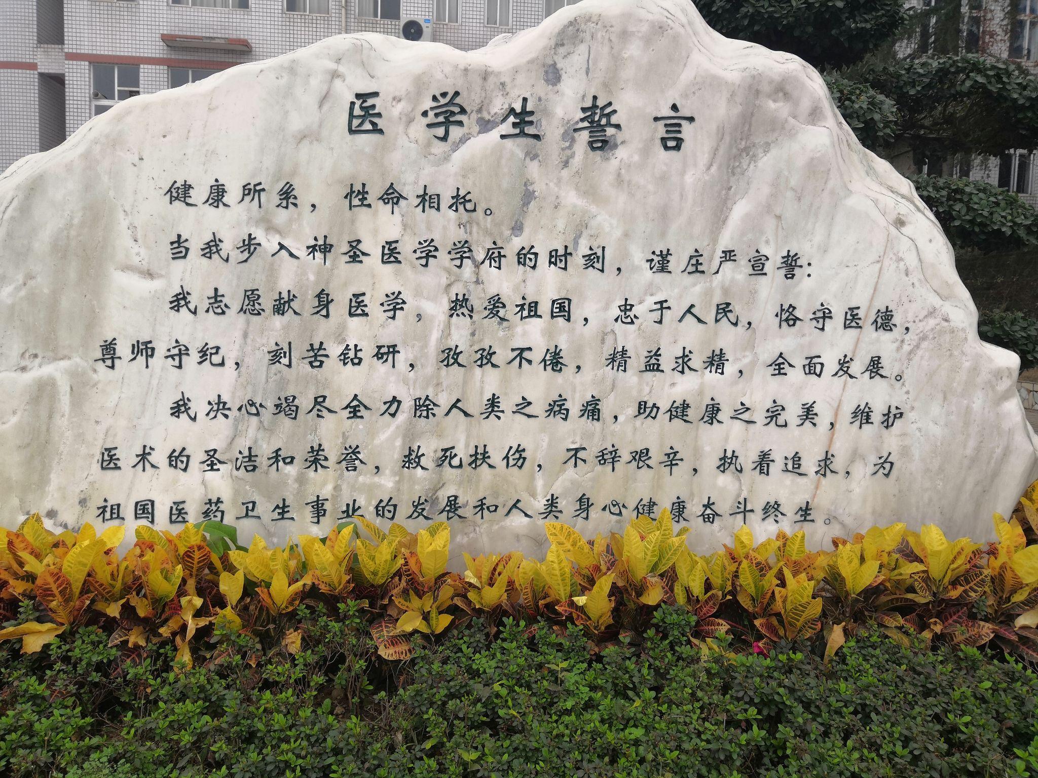 关于民航总医院号源查询穿刺预约的信息