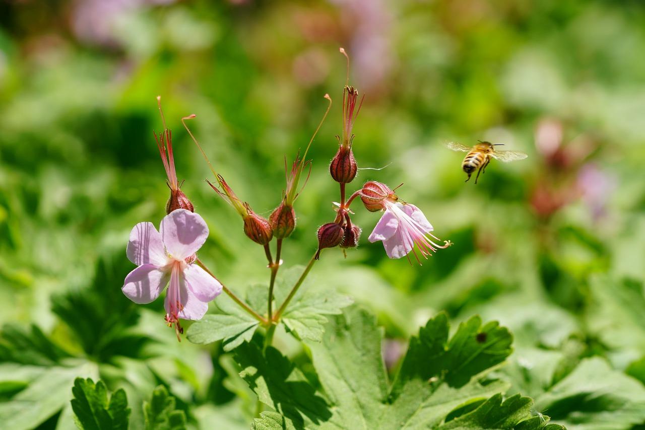 4. 满园春色宜居