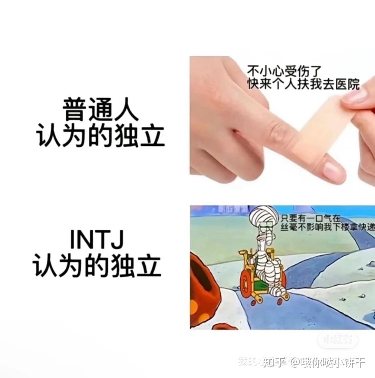真正的INTJ女是什么样子的? - 知乎