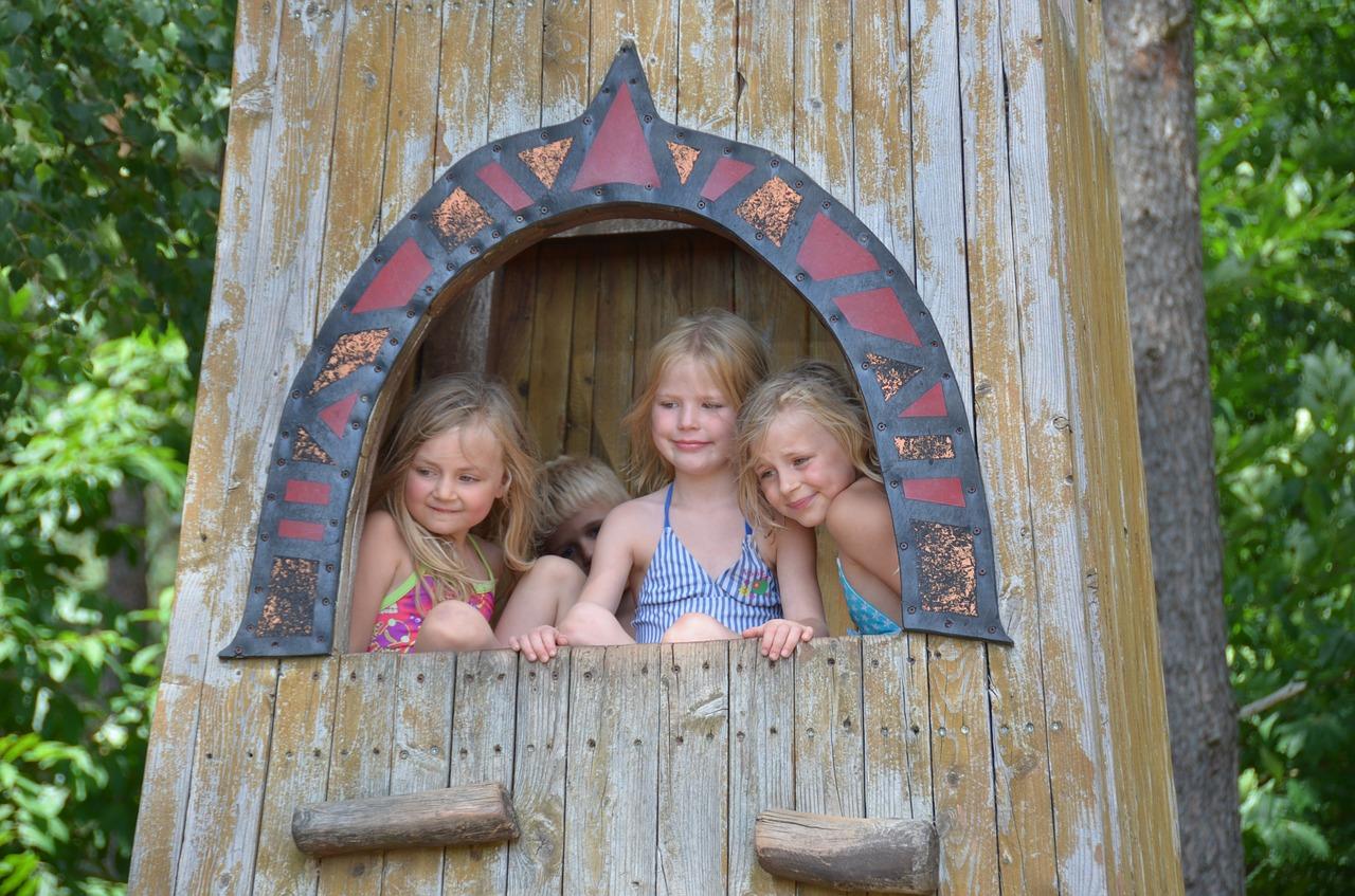 3. 会员权限问题