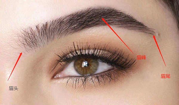 眉峰的位置,是其中最难的部分,但是也有根据的.