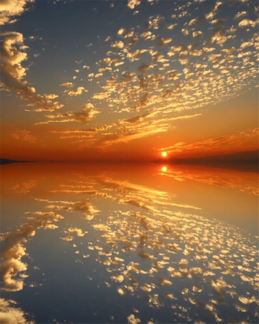 以"独"字开头的诗词有哪些?