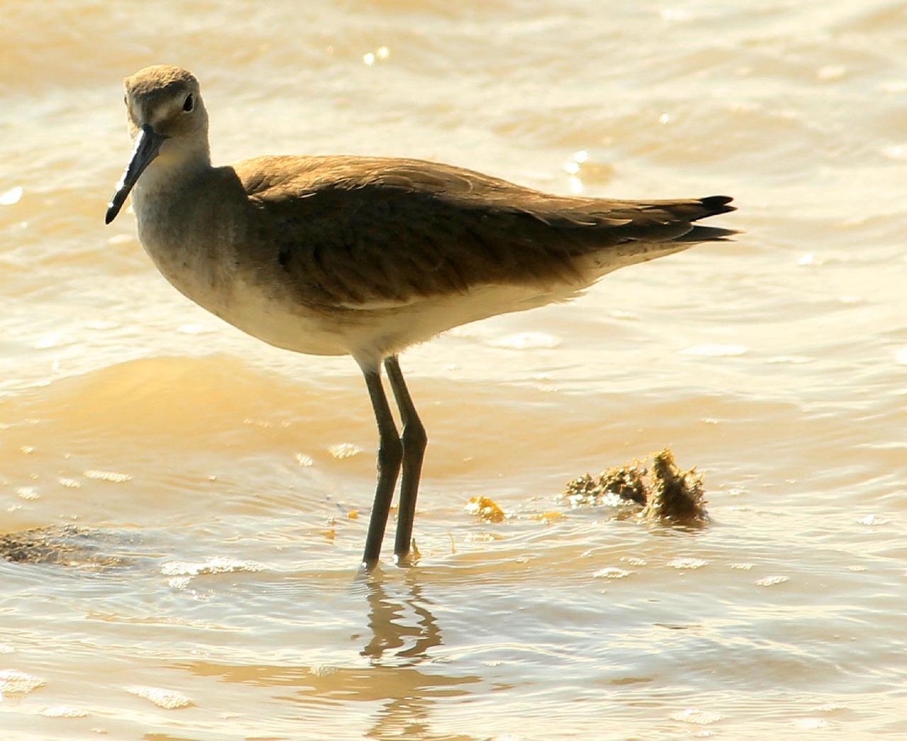 4. 资料验证要点