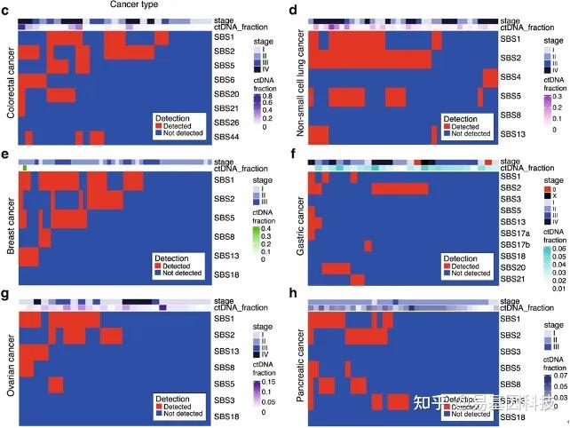 易基因：游离细胞DNA（cfDNA）检测整体研究方案