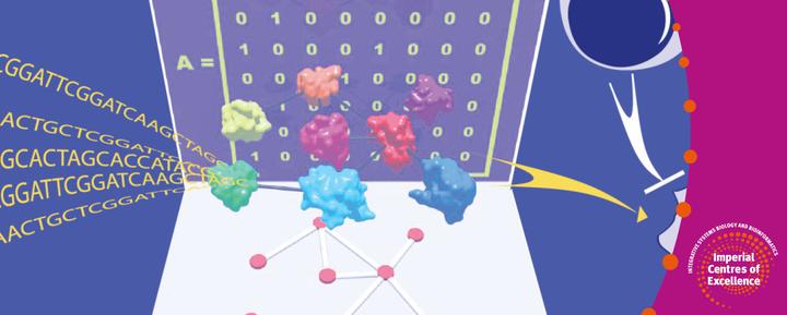 Birkbeck Msc Bioinformatics With Systems Biology