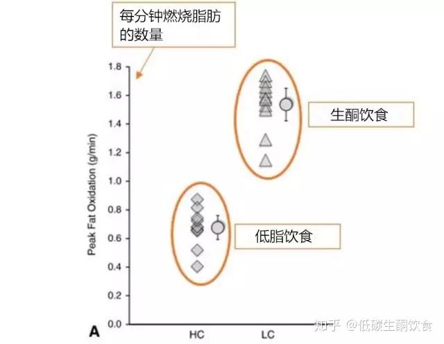 生酮饮食减肥法究竟是骗局还是科学