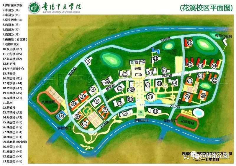 在贵州中医药大学读书是什么样的体验