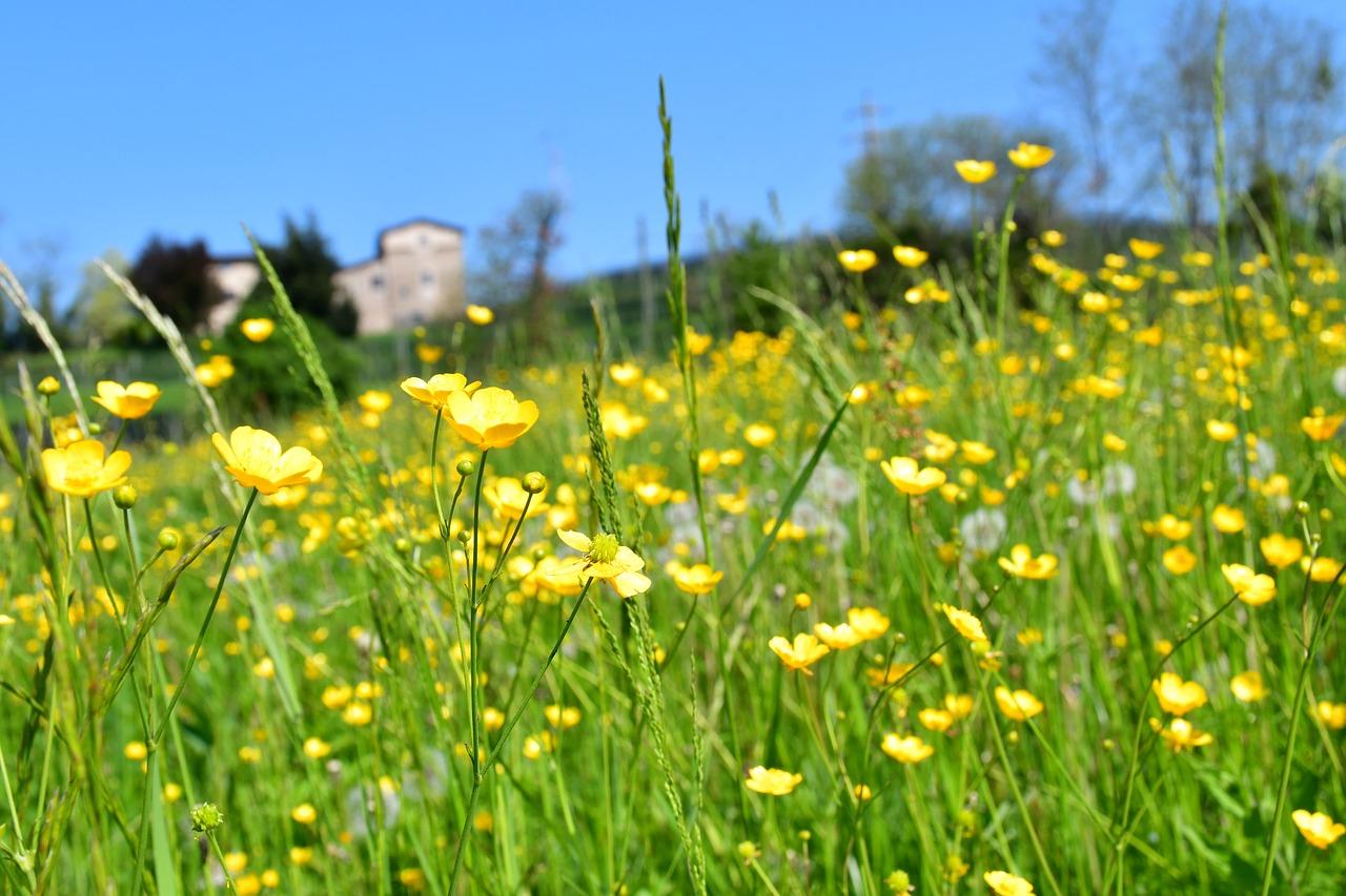 4. 优质教育资源