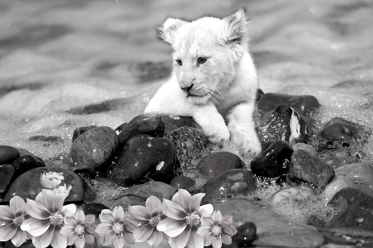 3. 奢雅生活明珠谷