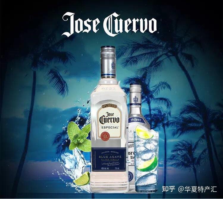 龙舌兰有哪些品牌名酒
