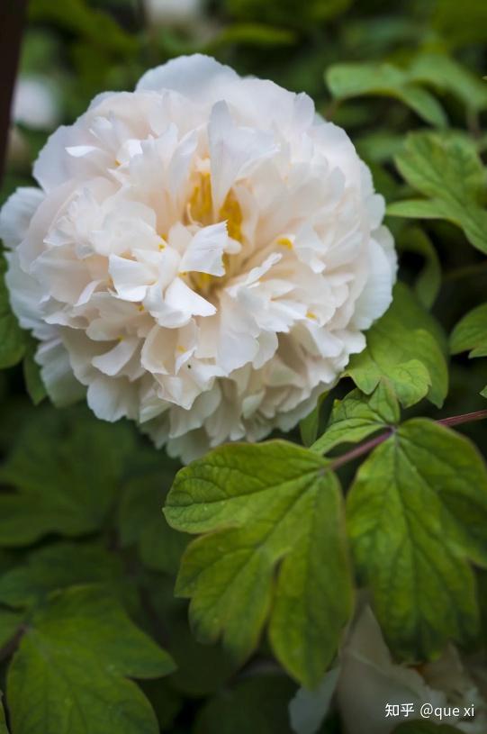 五一出行如何才能避开「人山人海」？