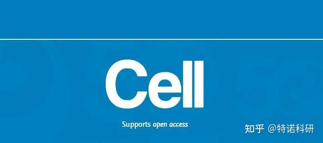 Science、Nature、Cell这三家期刊的投稿状态是怎样的？ - 知乎