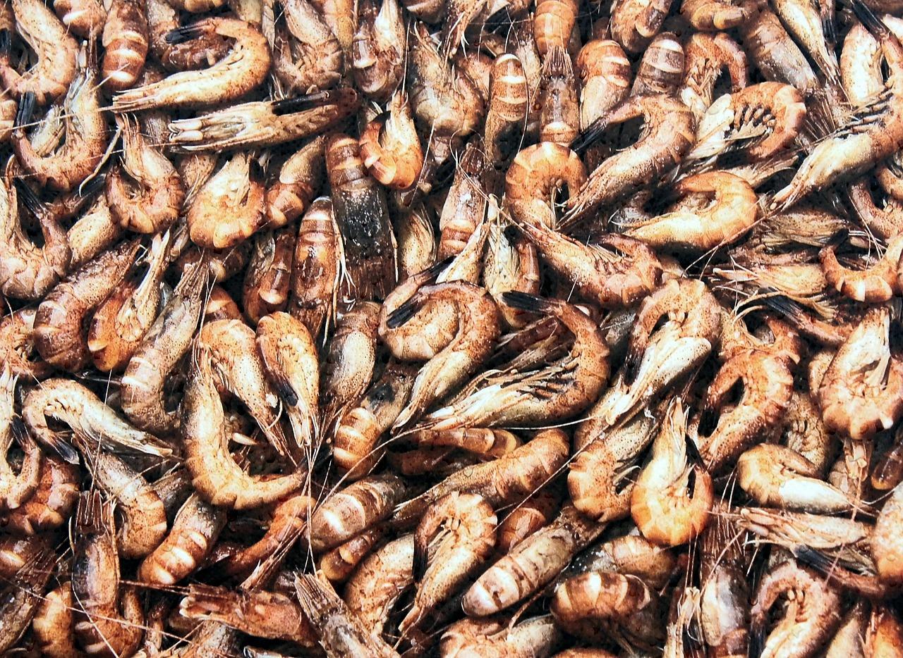 天空蓝魔虾多少钱一只