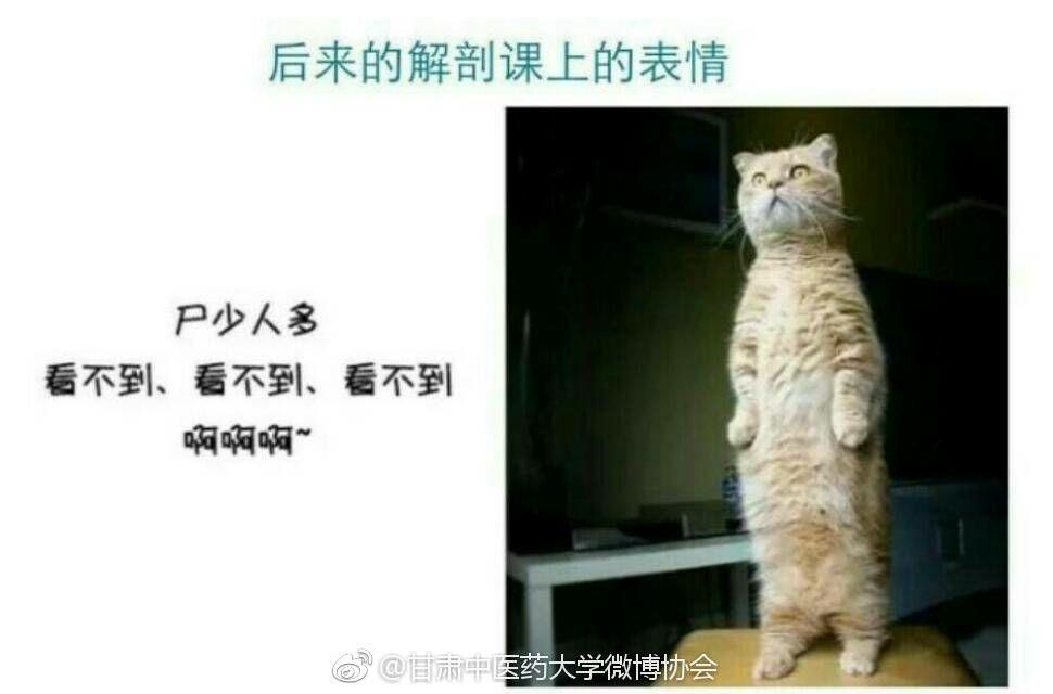 你有哪些醫學生用的表情包? - 知乎