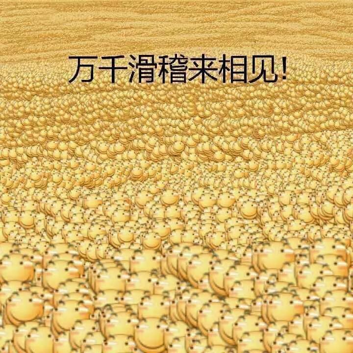 你都存了哪些有关滑稽的表情包