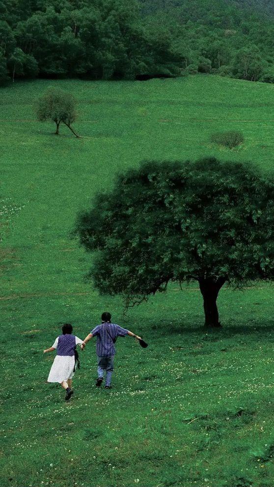 有哪些让你一眼万年的绿色系壁纸?(绿色壁纸大全图片清新自然)