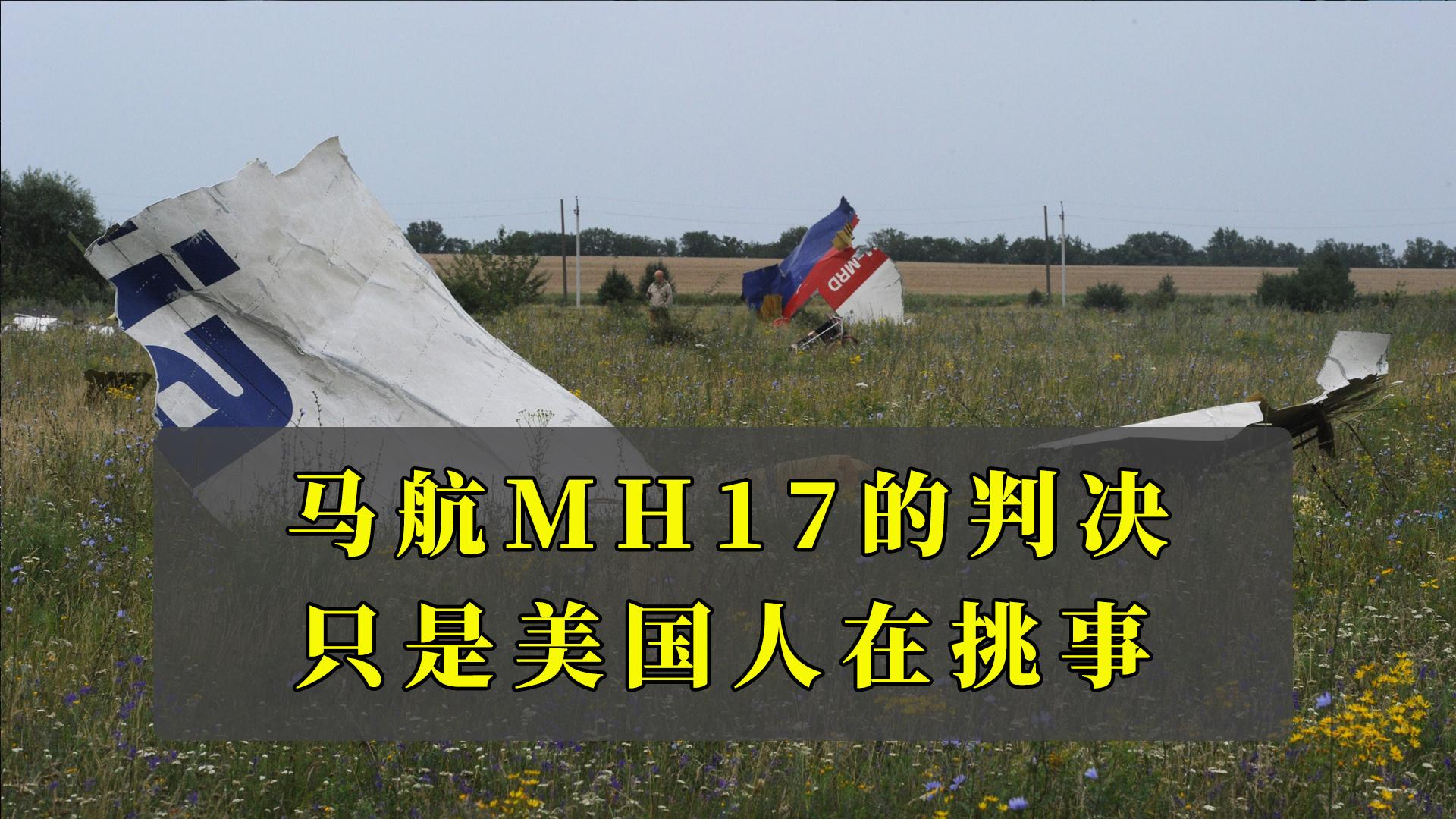 马航mh17乘客名单职业图片