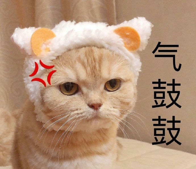 有一个很要好的朋友，现在算是断交了，但是始终不能放下，有点影响学习，应该怎么面对？