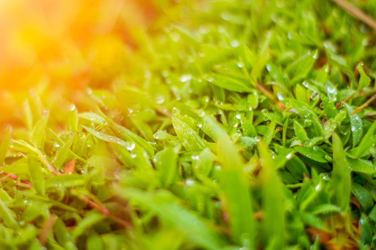 星悦陶瓷质量怎么样