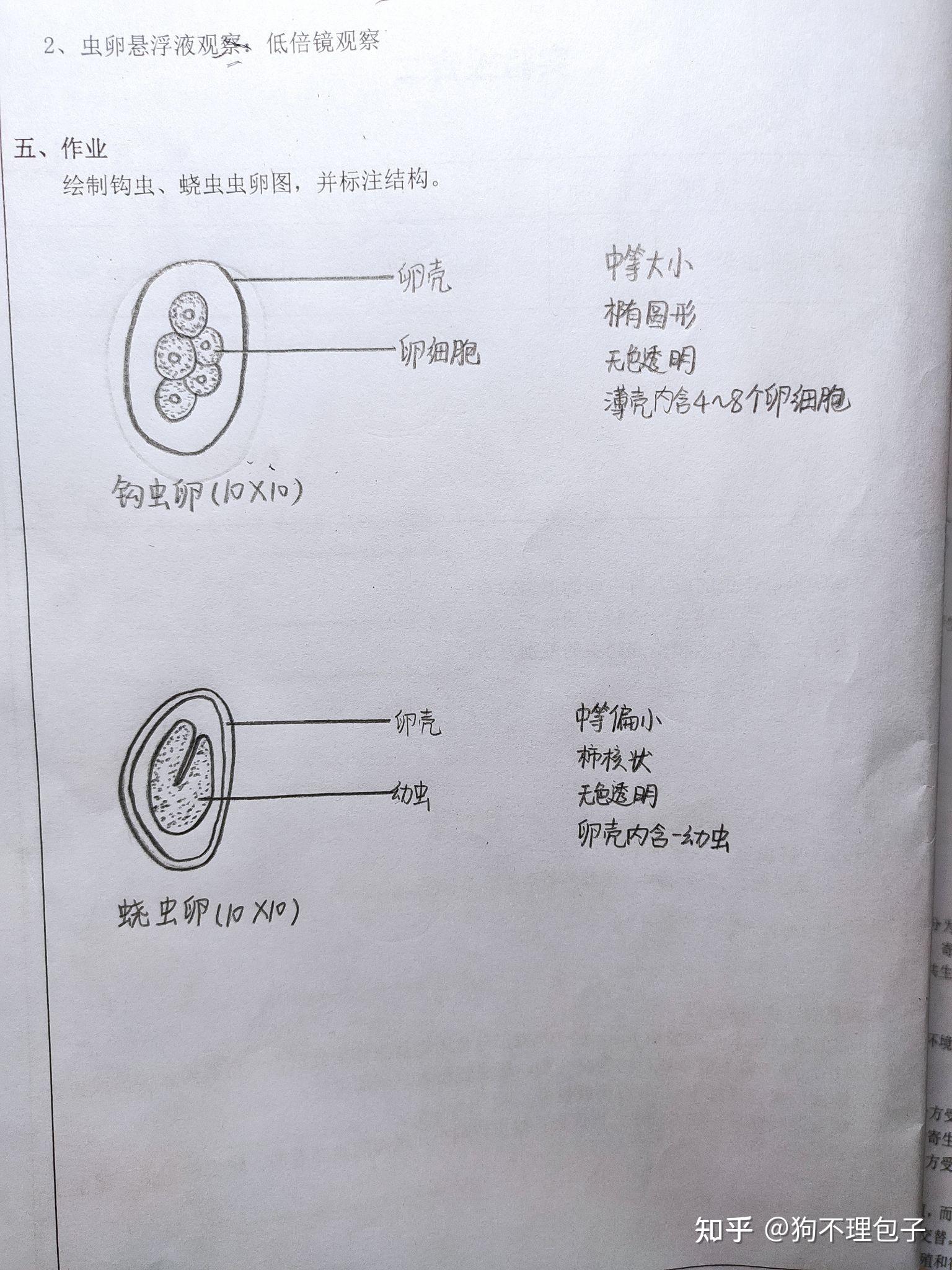 医学生怎么学好生理生化微生物寄生虫?